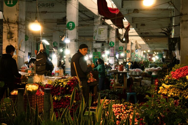 Guía para Promocionar Negocios Locales en Internet